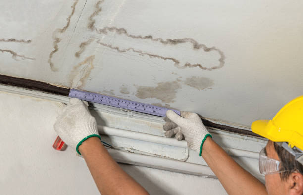 Reliable Water Damage Repair contractor in Roxbury, MA by Aqua Guard Water Damage